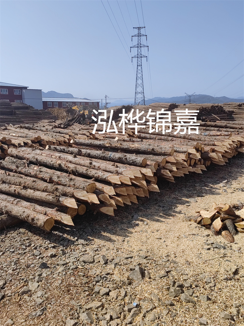 深入了解松木樁基礎施工單價，助力工程建設順利進行！