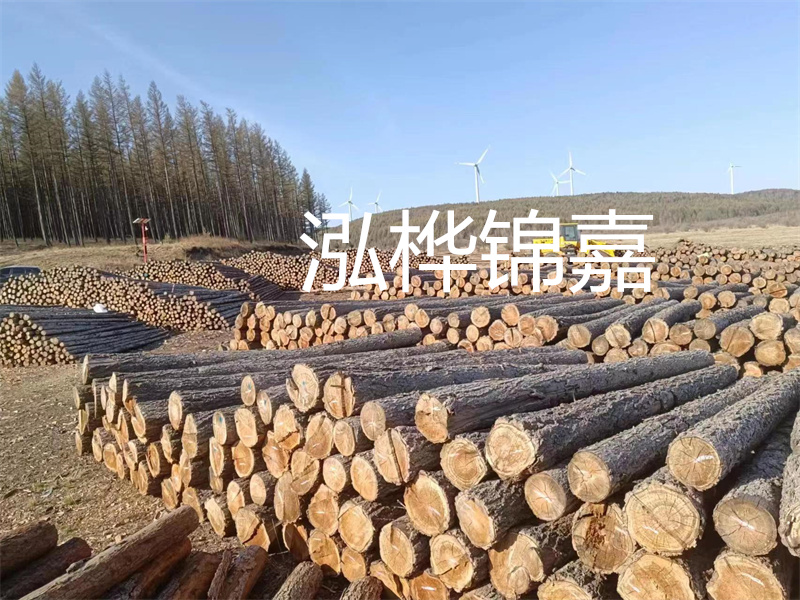 用路基松木樁施工方案提升工程質(zhì)量描述：了解路基松木樁施工方案的重要性，提高工程質(zhì)量關(guān)鍵詞：路基松木樁，施工方案，工程質(zhì)量